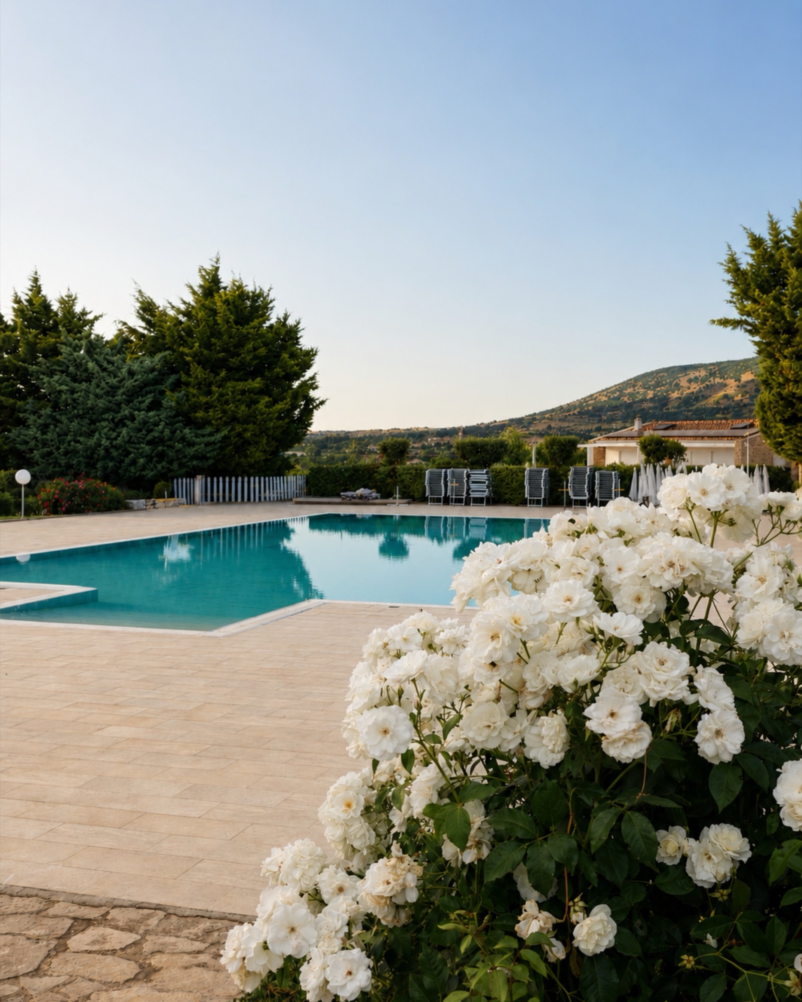 La piscina vista tra le rose bianche del giardino